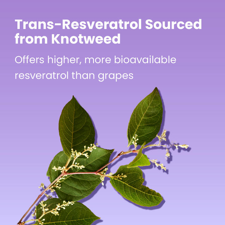 Resveratrol Supplement, 120 Capsules