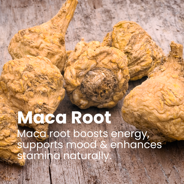 Maca Root Supplement, 120 Capsules