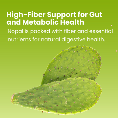 Nopal Supplement, 120 Capsules