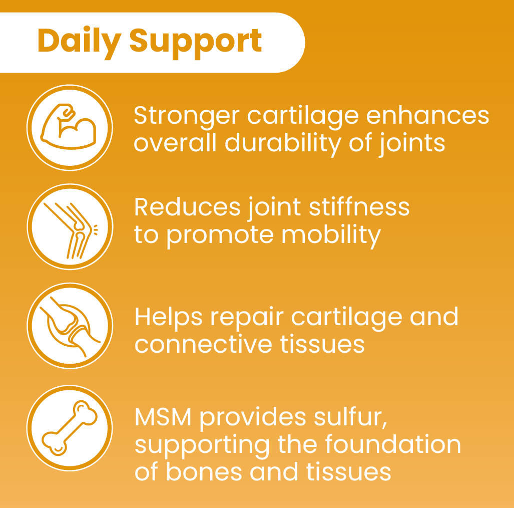 Joint & Recovery Bundle