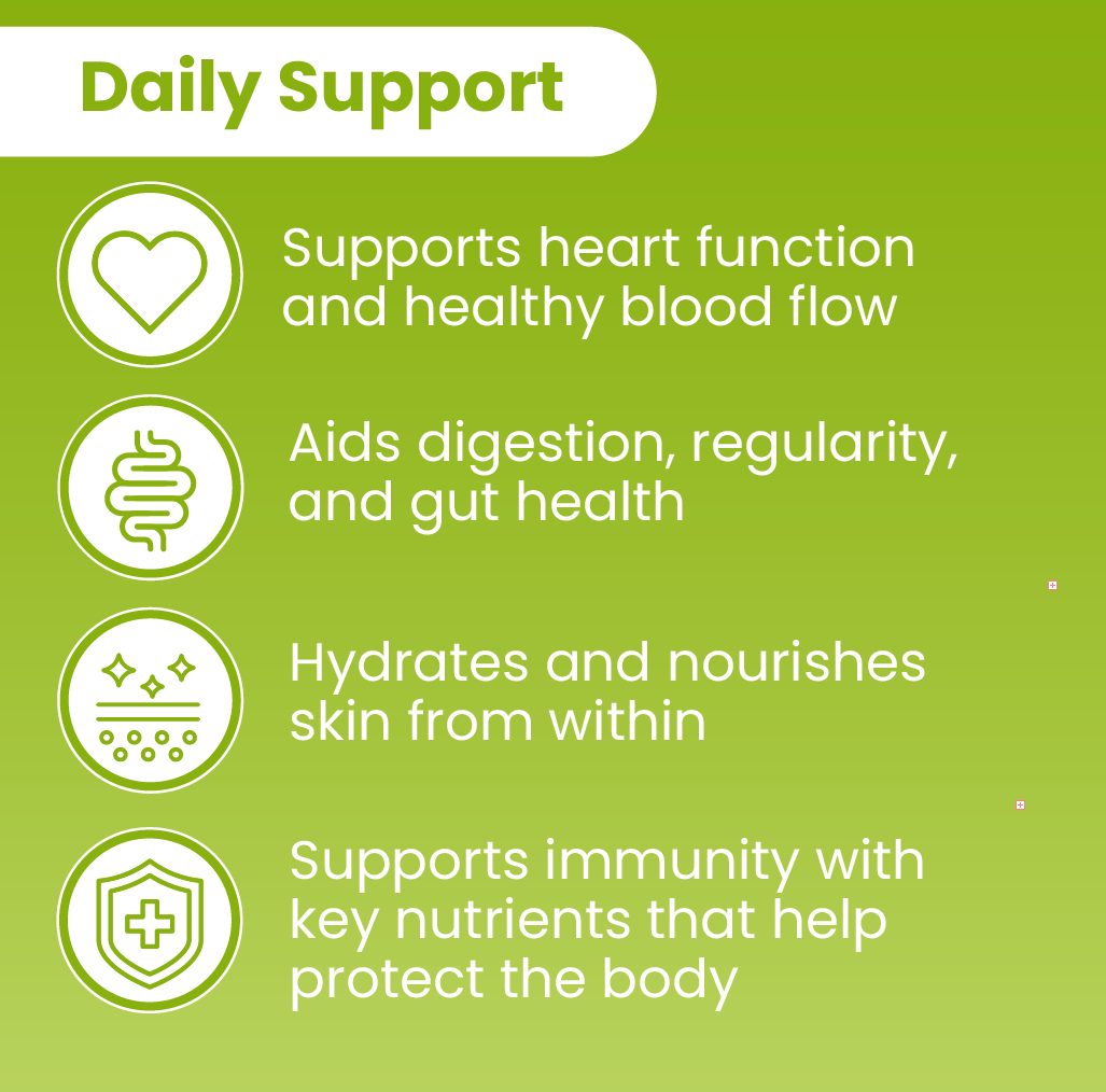 Nopal Supplement, 120 Capsules