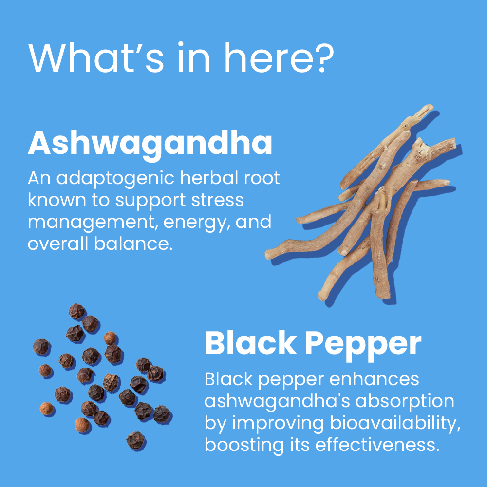 Ashwagandha Supplement key ingredients withania somnifera root extract and withanolides
