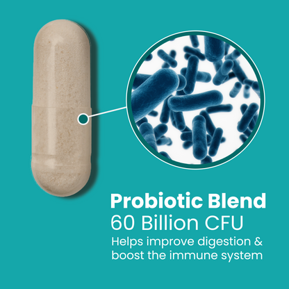 Probiotic 60 Billion CFU lifestyle image daily gut wellness and digestion support