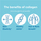 Collagen Multi Complex